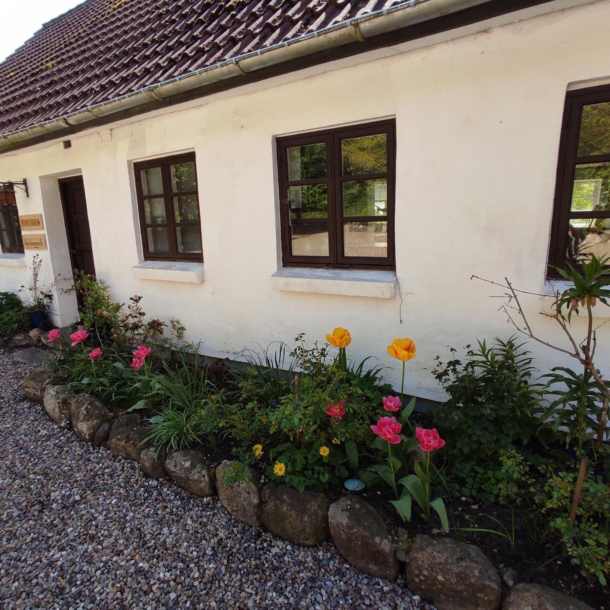 לינה וארוחת בוקר Lintrup Emily'S Garden מראה חיצוני תמונה